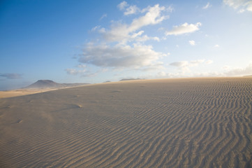 Fototapeta na wymiar Fuerteventura, Corralejo sand dunes nature park