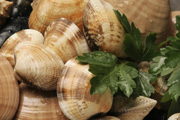 Vongole fresche crude