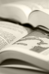 Fototapeta premium libri