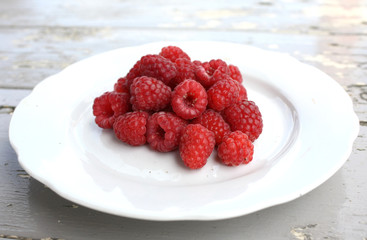 Raspberries on a White Dish
