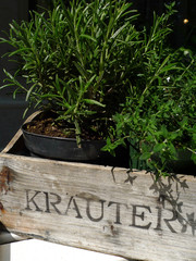 Kräuterkiste