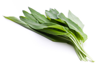 Gr&uuml;ne frische B&auml;rlauchbl&auml;tter nebeneinander