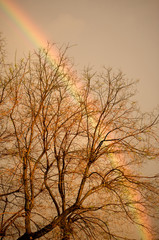 Obraz premium arcobaleno