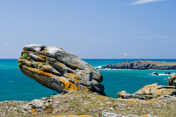 Cote sauvage de l'ile d'Yeu en Vendee