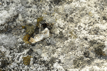 texture