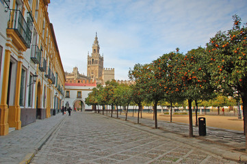 Fototapeta na wymiar Katedra w Sewilli, Hiszpania