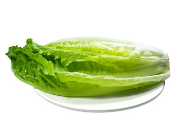 Fototapeta na wymiar Romaine lettuce on a plate