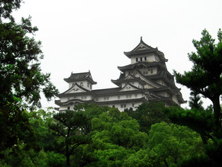 Himeji Castle on the trees