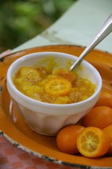 Orangenmarmelade