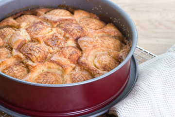 Apfelkuchen in Backform