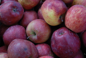 Manzana roja Apple red