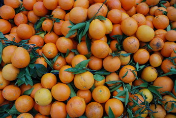 naranjas mandarias