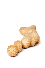 Isolated peanuts in the shell