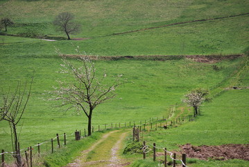 Feldweg