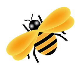 illustration of yellow bumble bee on white