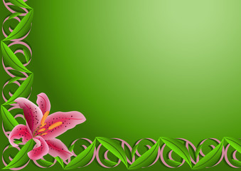 Romantic pink lily on the green background