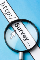 Online survey