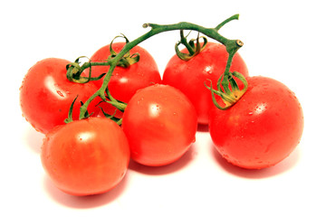 red tomatoes