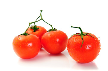Tomato
