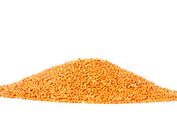 Millet seeds (Panicum miliaceum)