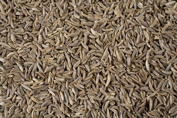 Caraway Seeds