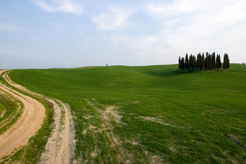 tuscany nature