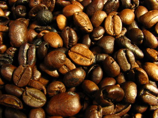 Coffee Bean Macro