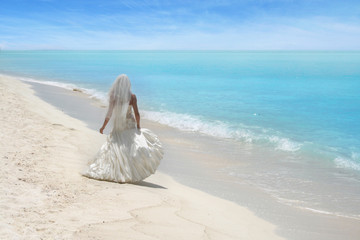 Fototapeta na wymiar bride walking on the beach