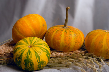 Pumpkins