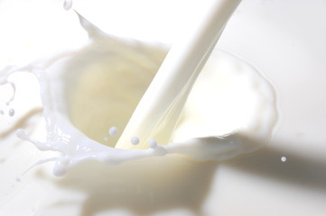 milk splash