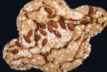 Typical Italian Easter cake dove-shaped over black