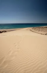 Photo sur Plexiglas Plage de Sotavento, Fuerteventura, Îles Canaries Düne