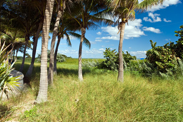 Fototapeta premium Miami Beach Strand