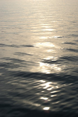 Wasser, Wellen