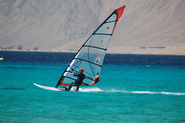 Naklejka premium windsurf