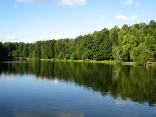 Fototapeta na wymiar Forest lake