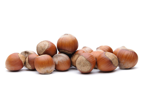 Hazelnuts