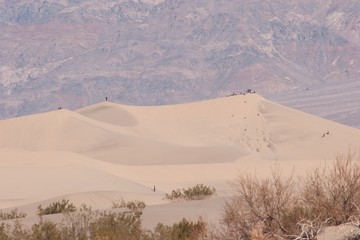 Stovepipe Wells Sand Dunes
