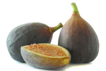 Fig
