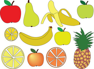 fruit - vector