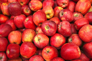 raw red apple heap