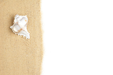 Beach Scene on White