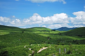 Tiny trail leading into the mountain ranges