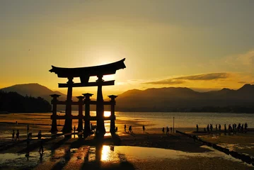Foto op Plexiglas Torii gate of shrine © gnohz