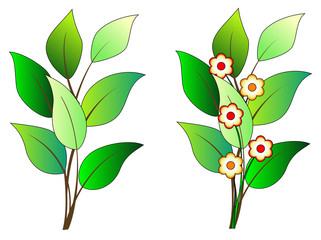 Tree branch with flowers