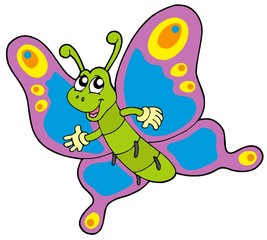 Obraz premium Cute cartoon butterfly