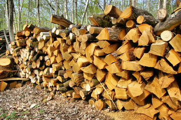 bois de chauffage