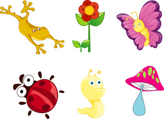 small animals collection