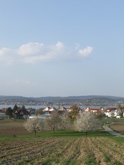 Obraz premium Reichenau