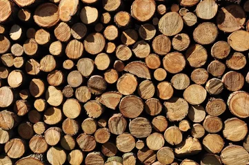 Möbelaufkleber firewood © Rolandst